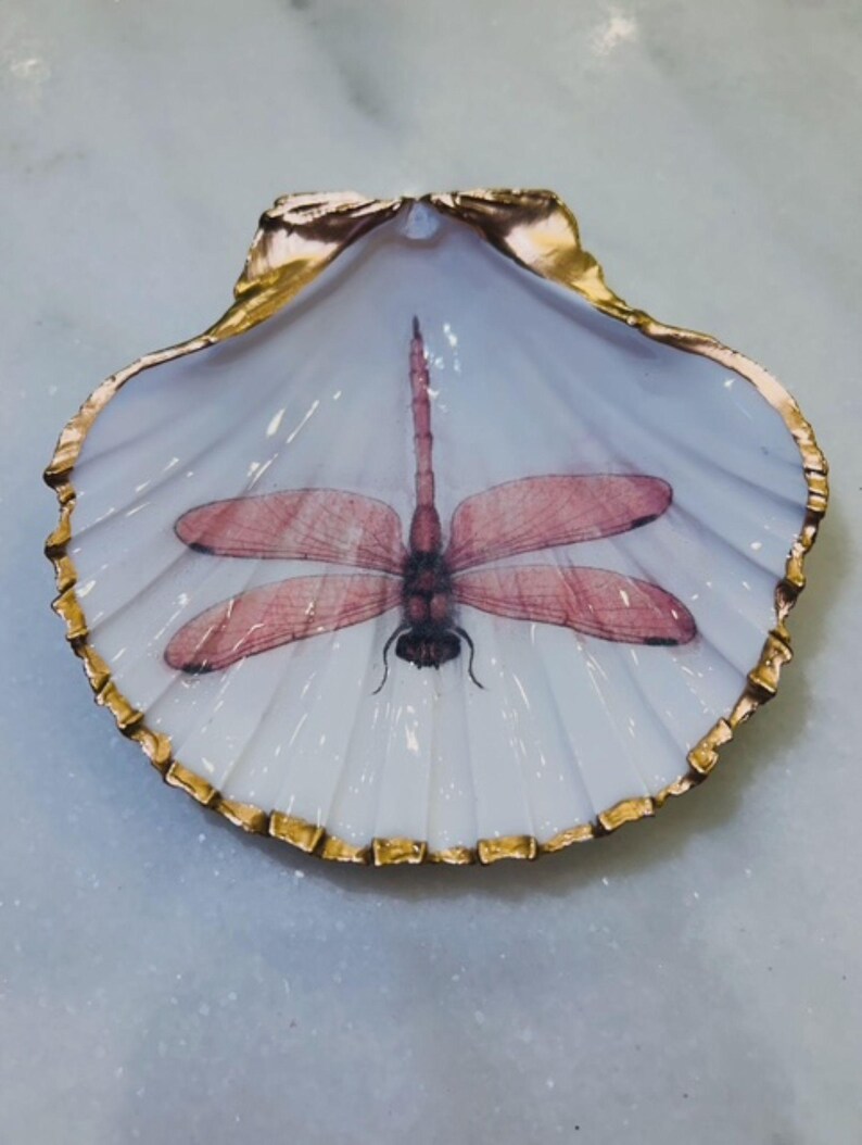 May include: A decorative seashell with a gold-painted rim and a painted dragonfly design. The dragonfly is pink and centered on the white interior of the shell. The shell is on a light blue surface.
