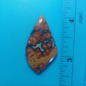 Select Ocean Jasper Cabochon