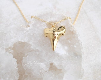 Shark Tooth Necklace, Large Gold Shark Tooth, 14k Gold Filled chain, Gold Vermeil Pendant, Hawaiian Necklace, Beach charm, Island Jewelry