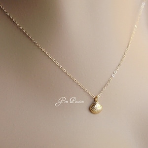 Gold Sea Shell Necklace, Gold Vermeil Sea Shell Charm, 14k Gold Filled Chain, Sea Charm Necklace, Beach Necklace