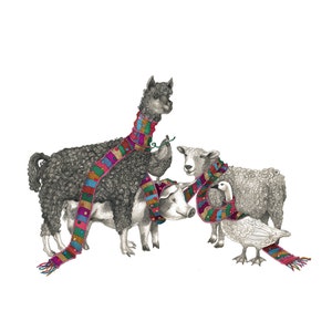 8x10 Giclee Print Barnyard Animals with Scarf Pencil Illustration