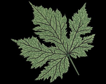 Maple Leaf Embroidery Design - Botanical Digital Machine Embroidery File - 7 Sizes