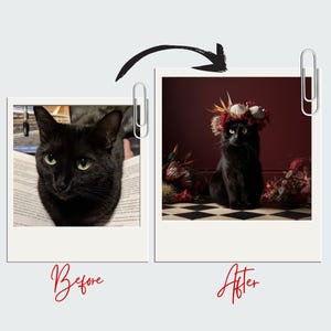 Personalized Pet Portrait from Photo Custom Digital Dog or Cat Illustration Pet Memorial Gift  Custom Pet Art