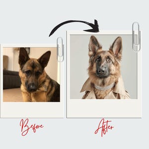 Personalized Pet Portrait from Photo Custom Digital Dog or Cat Illustration Pet Memorial Gift  Custom Pet Art