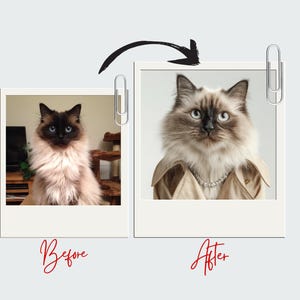 Personalized Pet Portrait from Photo Custom Digital Dog or Cat Illustration Pet Memorial Gift  Custom Pet Art