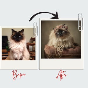 Personalized Pet Portrait from Photo Custom Digital Dog or Cat Illustration Pet Memorial Gift  Custom Pet Art