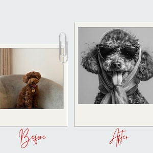 Personalized Pet Portrait from Photo Custom Digital Dog or Cat Illustration Pet Memorial Gift  Custom Pet Art