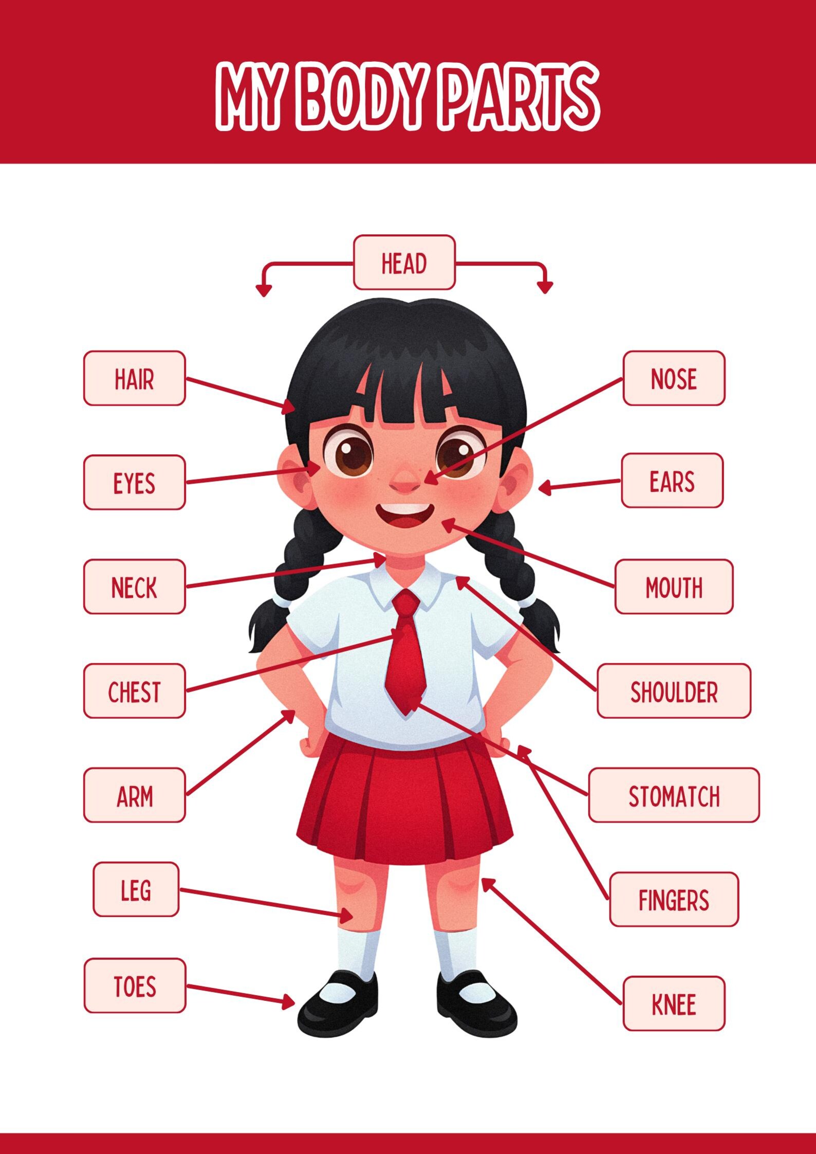 Human Body Parts Poster for Kids |preschool Learning | Kindergarten ...