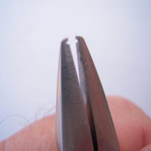 May include: Close-up of the tips of a pair of silver pliers, showing the jaws open and ready to grip.