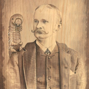 May include: A black and white woodburned image of a man with a mustache and a large, segmented worm-like creature on his shoulder. The man is wearing a plaid suit and a tie with a moth pin. The image is signed "Bearded Maladies" and "www.fianSchraer.com".