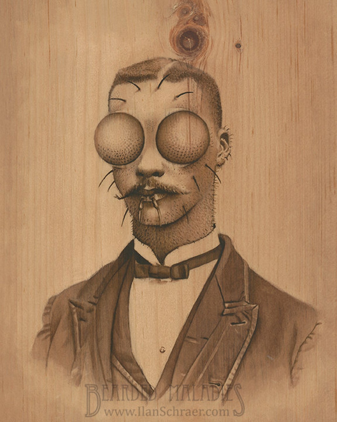 Fly Man Insect Fly Guy, Insect Portrait, 8