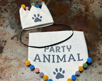 Pet Hat and Bandana Birthday Set