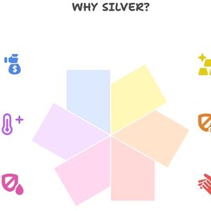 以下が含まれることがあります： 「なぜ銀？」というテキストと、銀が使用されるいくつかの理由が記載されたグラフィック。手頃な価格、体温調節、抗菌性、貴重、耐久性、肌に優しいなどの理由が含まれています。
