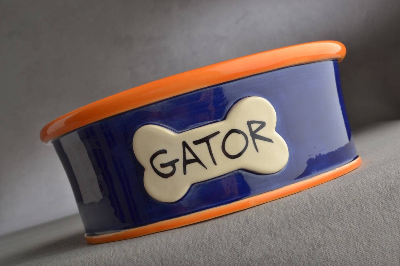 Personalized Dog Bowl Single Smooth Orange Blue Ceramic Pet Dish Made To Order By Symmetrical Pottery