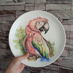 May include: A white ceramic plate with a watercolour painting of a parrot. The parrot has red, pink, blue, green, and yellow feathers, with a black beak and eye. The plate is round and has a slightly raised edge.