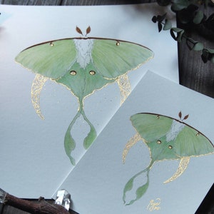 Luna Moth Art, Green Moth, Gold Crescent moon, Art Nouveau style, Giclee art print, Fairytale Watercolor artwork, Fairy Fantasy Moth Wings image 1