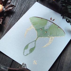 Luna Moth Art, Green Moth, Gold Crescent moon, Art Nouveau style, Giclee art print, Fairytale Watercolor artwork, Fairy Fantasy Moth Wings image 3