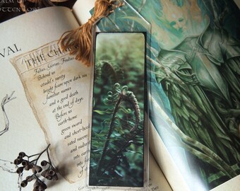 Marque-page fougère verte, marqueur de livre fantaisie avec pompon, art de conte de fées, têtes de violon vert forêt, photographie de la nature, 5 x 15 cm