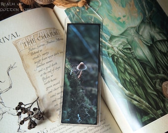 Marque-page champignon de la forêt, photographie de nature, scène fantastique, pampille marqueur de livre de conte de fées, paysage forestier, mousse verte, 5 x 15 cm