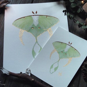 Luna Moth Art, Green Moth, Gold Crescent moon, Art Nouveau style, Giclee art print, Fairytale Watercolor artwork, Fairy Fantasy Moth Wings image 9