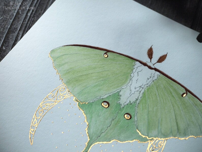 Luna Moth Art, Green Moth, Gold Crescent moon, Art Nouveau style, Giclee art print, Fairytale Watercolor artwork, Fairy Fantasy Moth Wings image 5