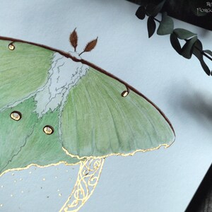 Luna Moth Art, Green Moth, Gold Crescent moon, Art Nouveau style, Giclee art print, Fairytale Watercolor artwork, Fairy Fantasy Moth Wings image 4