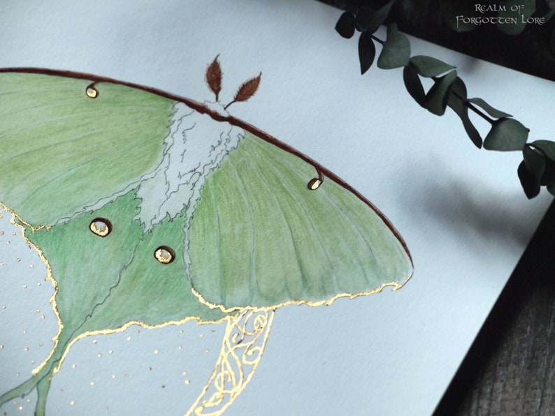 Luna Moth Art, Green Moth, Gold Crescent moon, Art Nouveau style, Giclee art print, Fairytale Watercolor artwork, Fairy Fantasy Moth Wings image 4