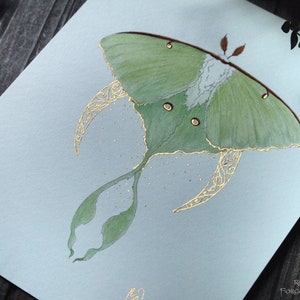 Luna Moth Art, Green Moth, Gold Crescent moon, Art Nouveau style, Giclee art print, Fairytale Watercolor artwork, Fairy Fantasy Moth Wings image 2