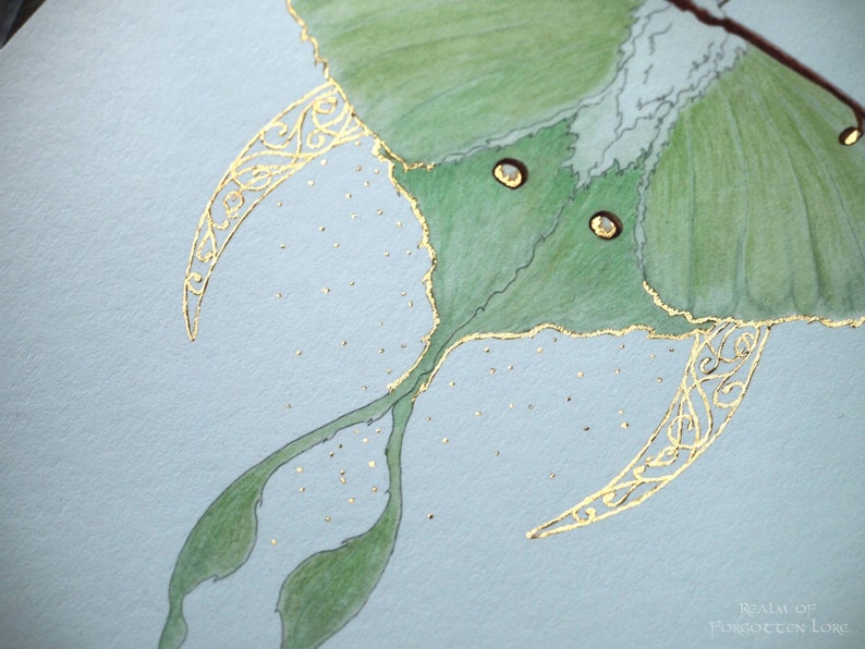 Luna Moth Art, Green Moth, Gold Crescent moon, Art Nouveau style, Giclee art print, Fairytale Watercolor artwork, Fairy Fantasy Moth Wings image 6