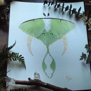 Luna Moth Art, Green Moth, Gold Crescent moon, Art Nouveau style, Giclee art print, Fairytale Watercolor artwork, Fairy Fantasy Moth Wings image 10