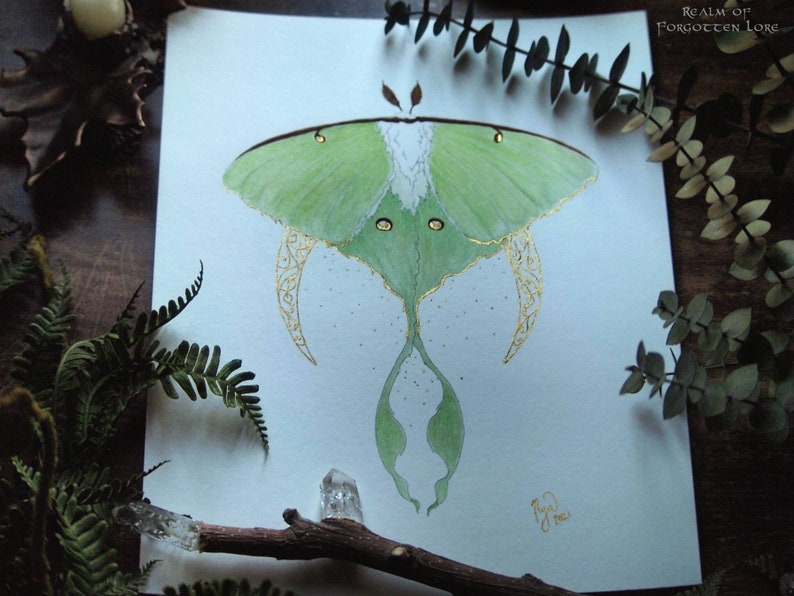 Luna Moth Art, Green Moth, Gold Crescent moon, Art Nouveau style, Giclee art print, Fairytale Watercolor artwork, Fairy Fantasy Moth Wings image 10