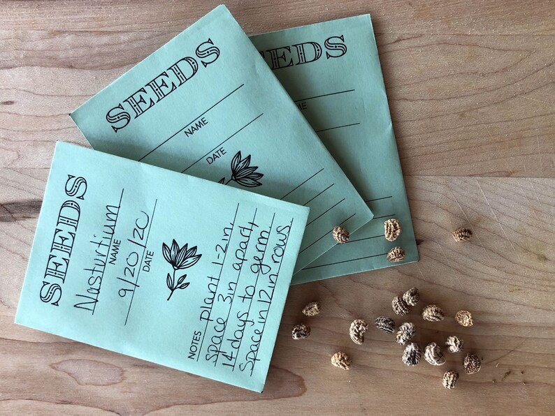 Printable Seed Envelope // Digital Garden // Print Your Own Envelope // 3x4 // Garden Gift // Printable Seed Packet image 2