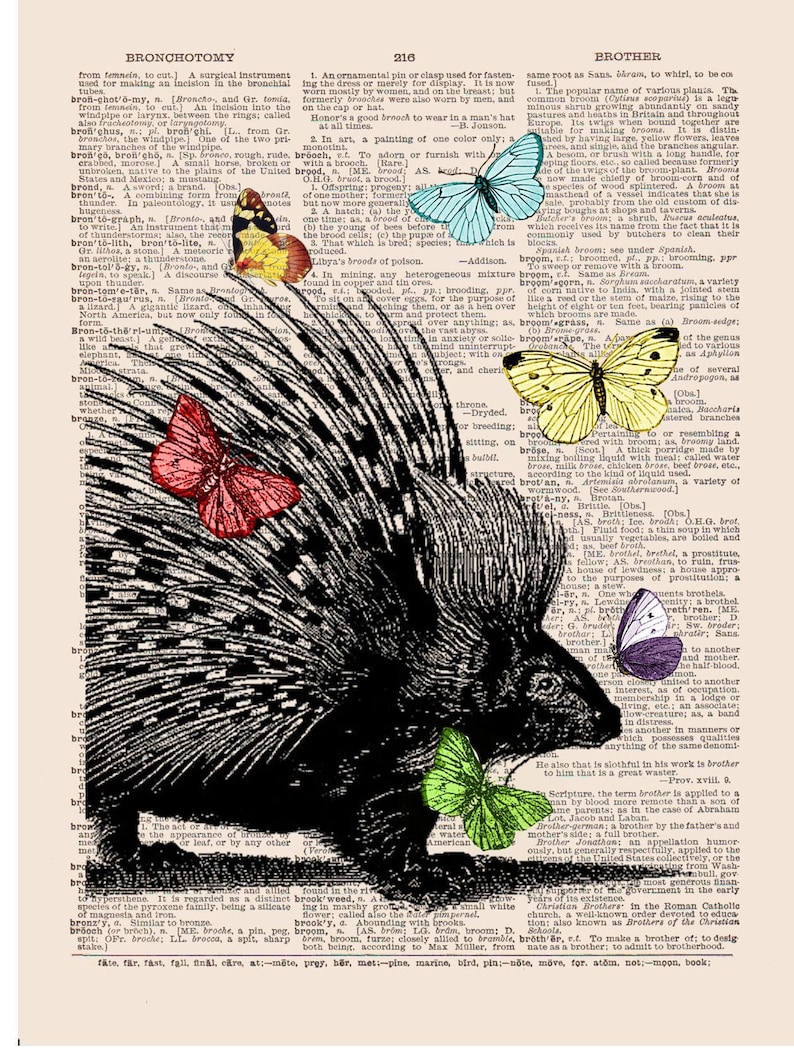 Butterfly Porcupine