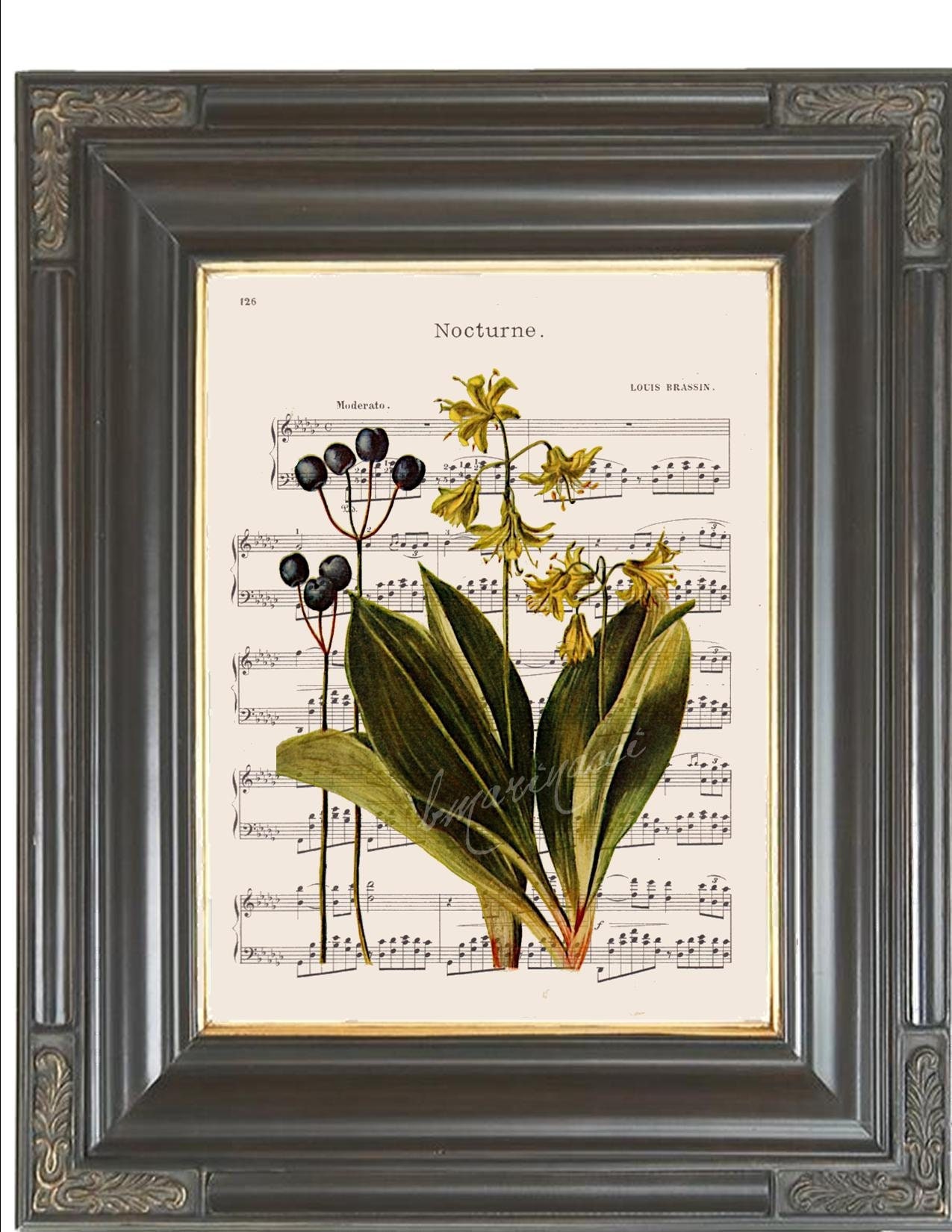 ART PRINT ORIGINAL VINTAGE MUSIC SHEET Page DRAGONFLY FLOWER Lily PINK BOTANICAL