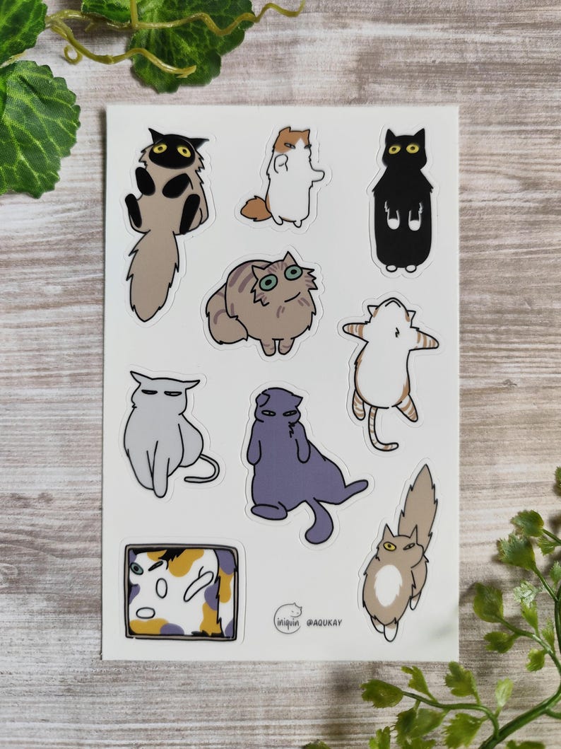 Funny & Cute Cat Sticker Sheet - Etsy