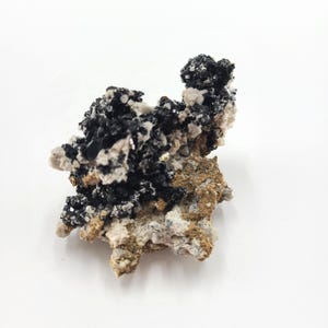 May include: A natural mineral specimen featuring a cluster of black, crystalline formations atop a base of tan and white rock. The mineral has a rough, textured surface and sits against a white background.