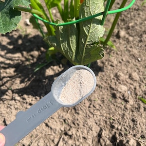May include: A gray measuring spoon filled with a light brown powder, held near a green plant with large leaves. The spoon is labeled "1 Tbsp 15 ml". The plant is supported by a green wire frame, set in brown soil.