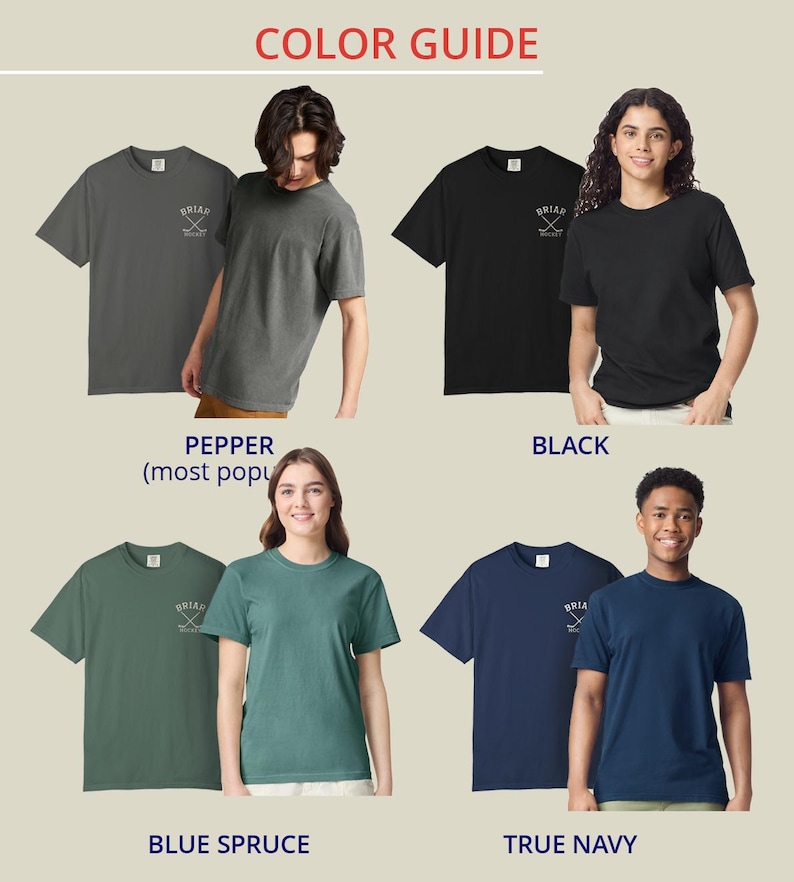 Briar Hockey Shirt | Campus Inspired Tee | Comfort Colors TShirt | Graham Logan Tucker Di Laurentis T-Shirt image 11
