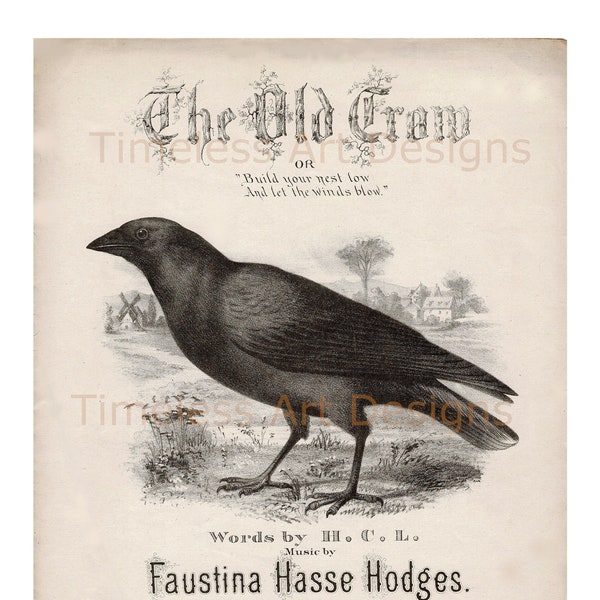 vintage Digital Download Image « THE OLD CROW » vintage, Antique Sheet Music Front Cover Illustration, Black Bird Printable!