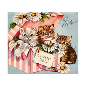 Download digital de clipart para impressão de gatinhos Gatinhos fofos em uma caixa de presente listrada rosa Desejamos melhoras!