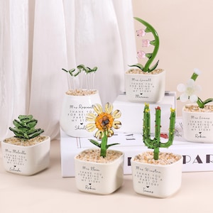 Può includere: Una collezione di piccoli vasi in ceramica bianca, ognuno con una diversa pianta decorativa. Le piante includono una succulenta, un girasole e un cactus. Ogni vaso ha un messaggio stampato e un nome.
