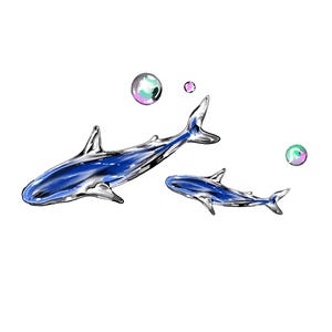 Immagine digitale illustrata di un delfino 16*20 pollici