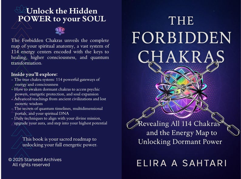 De VERBODEN chakra's: het onthullen van ALLE 114 chakra's en de energiekaart om slapende KRACHT te ontsluiten afbeelding 4