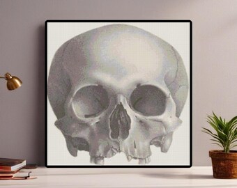 Skull Medical Illustration Handmade PDF Counted Cross-Stitch Pattern Needlepoint Chart