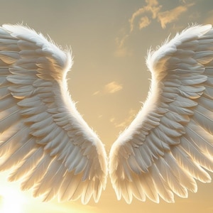May include: A pair of large, white angel wings, spread wide against a backdrop of a golden sunset and fluffy clouds. The feathers are detailed and illuminated, creating a heavenly and ethereal scene.