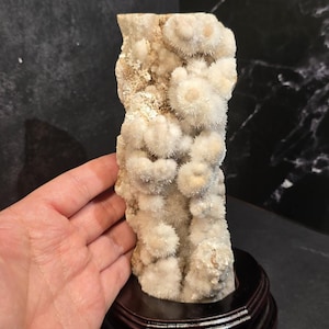 May include: A natural, off-white crystal formation with clusters of small, spherical, fuzzy structures. The crystal is mounted on a dark wooden stand. The background is a dark, textured surface.