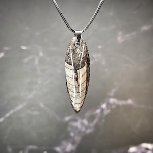 K&ouml;nnte beinhalten: Ein polierter Orthoceras-Fossilanh&auml;nger in l&auml;nglicher, spitz zulaufender Form mit markanten wei&szlig;en, segmentierten Linien auf einem dunkelbraunen, gesprenkelten Steinhintergrund. Das Fossil h&auml;ngt an einer silberfarbenen Metall&ouml;se an einer schwarzen Kordel.