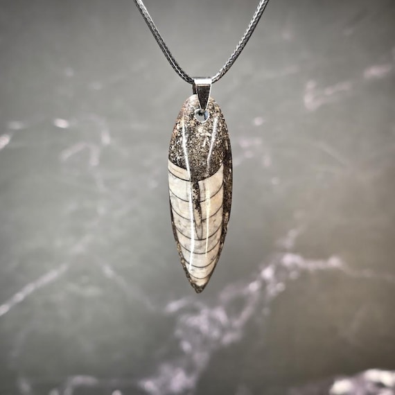 Orthoceras Fossil Pendant | 18" Black Rope Necklace