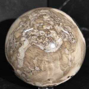 Peut inclure: Une pierre sph&eacute;rique polie, pr&eacute;sentant un motif tourbillonnant de teintes beige, cr&egrave;me et marron. La surface a une finition brillante, refl&eacute;tant la lumi&egrave;re. La pierre semble &ecirc;tre un objet d&eacute;coratif ou un sp&eacute;cimen naturel.