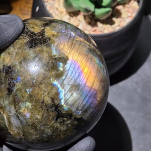 May include: A polished labradorite sphere with iridescent flashes of blue, gold, and purple. The gemstone is held in a gloved hand, with a blurred background of a potted succulent plant.